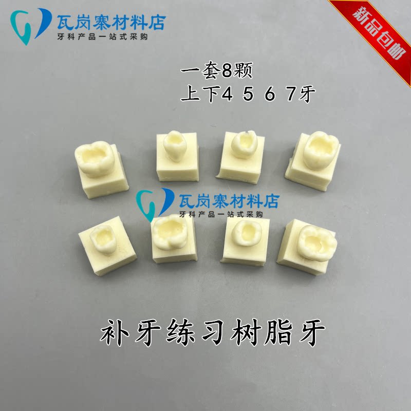 树脂充填练习模型 牙齿形态堆塑 树脂牙粒 牙科医生补牙练习模型