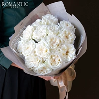 Bai Lixiang Rose (обратите внимание на взрыв цветов!)
