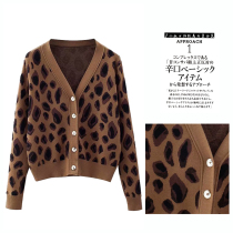 Japan Single Foreign Trade Original Single Tail single Cut Label Autumn New European and American womens clothing Internet Red BAO WEN bag core yarn knitted cardiao