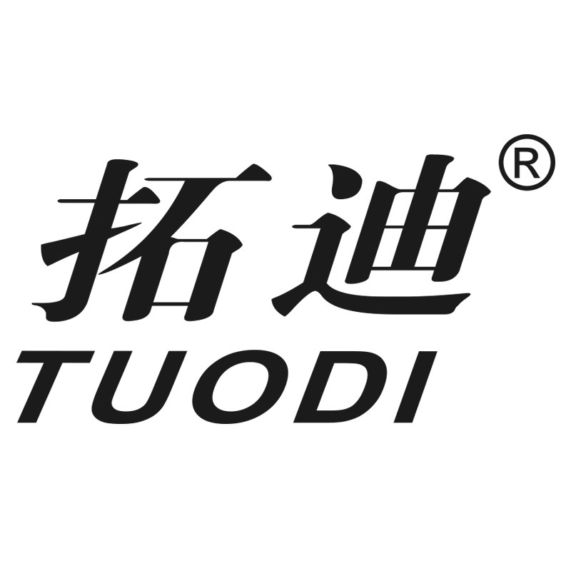 广东拓迪的LOGO