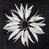 Белый цветовой круг для тренировок, высокая шаровая головка, 6 шт, обучение