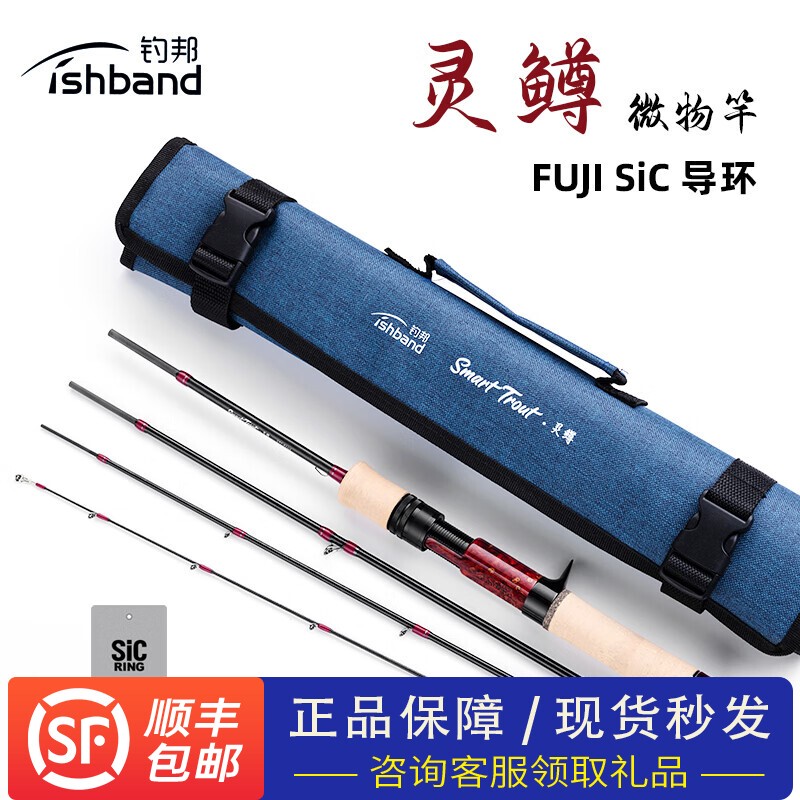 Fishing Rod for Trout and Minnows, Micro Lure Rod, Multi-Section Portable Rod with Fuji Sic Guides, Stream Rod