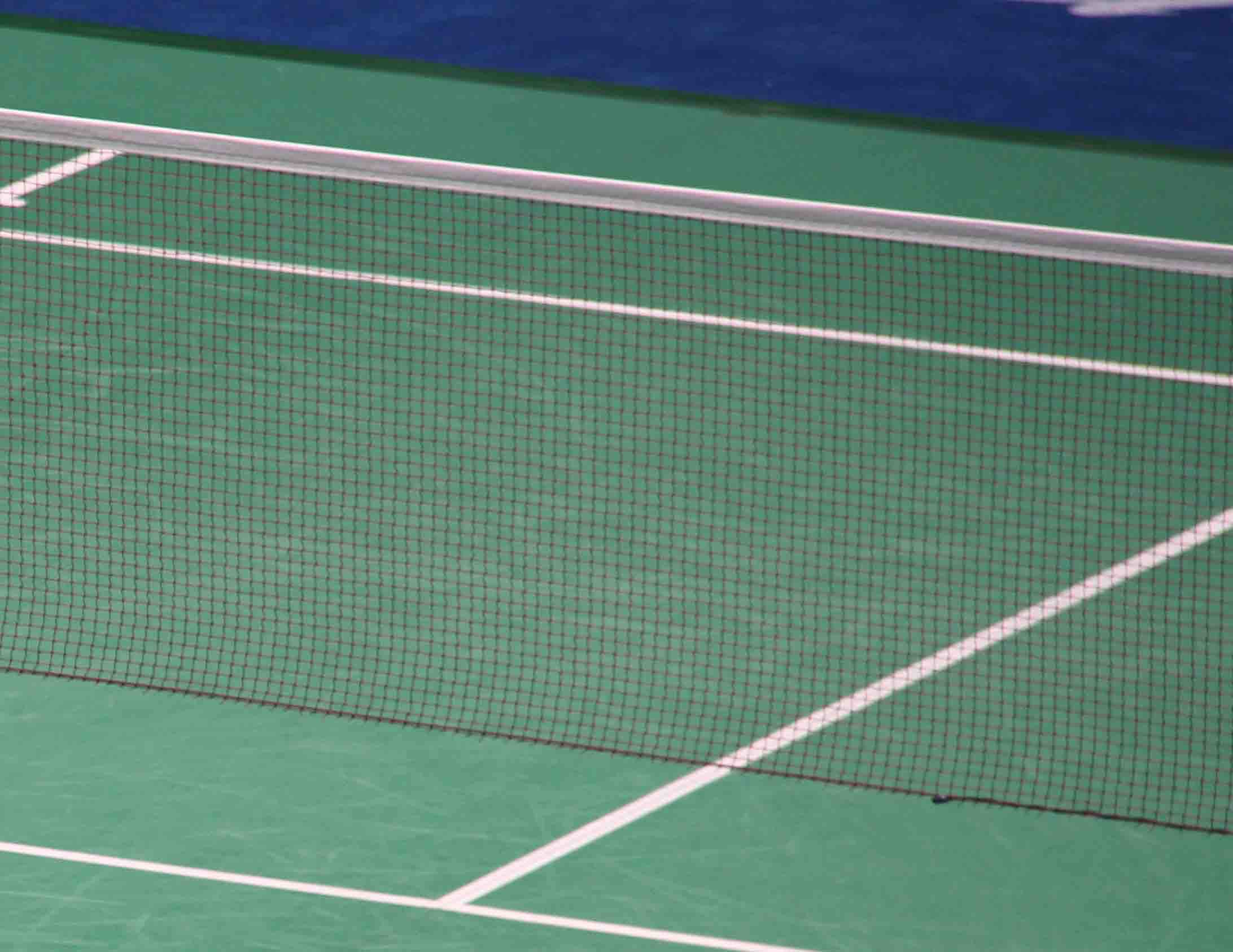 Jinling Sports Equipment 15114 High-end badminton net YQW-1