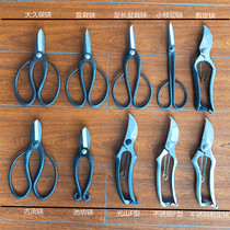 Youchuan forged potted bonsai pruning shears stainless steel forged clippings horticulture Okubo May chat leaf bud shears