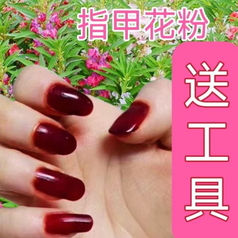 Impatiens Flower Powder Nail Dye, Pink Powder Nail Dye, Natural Plant-Based Nail Dye for Elderly and Children, Red Nail Dye