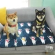 Vật nuôi Nhật Bản Shiba Inu cung cấp san hô lông tơ chăn chó ngủ mat kennel chống dính lông mèo lớn chăn ấm - Cat / Dog hàng ngày Neccessities