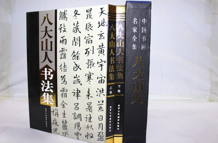 商城正版 中国现代名家画集 八大山人书法集 铜版彩图精装16开2卷 原价380元