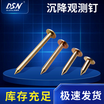 Cross measuring nail Surveying and mapping nail Measuring mark Settlement observation level point Control point boundary nail Stainless steel measuring nail