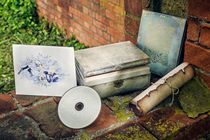 YOASOBIs funerary delivery of the Friulian OP fully qualified the disc CD novel full-count sales