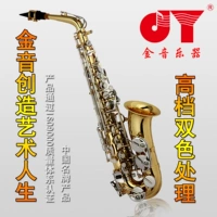 Nhạc vàng alto saxophone nhạc cụ saxophone hai màu xử lý nút mạ n JYAS-E100D - Nhạc cụ phương Tây đàn harmonica