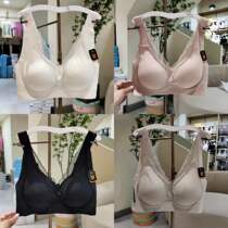 New womens bra 003 detachable breast pad gathering underwear lace without steel ring wide shoulder strap comfortable chest