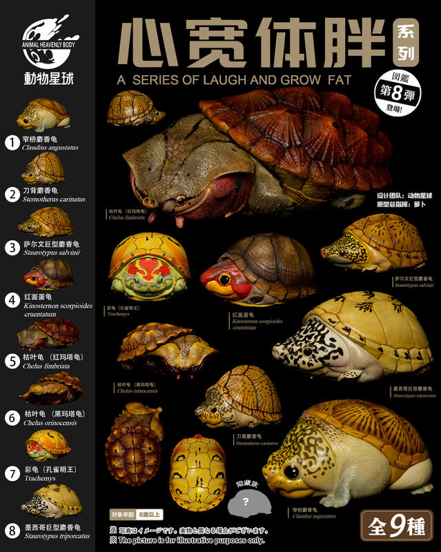 In Stock Animal Planet Heart of the Beast Series Eighth Edition Egg Turtle Razorback Red-Faced Salvin Figure