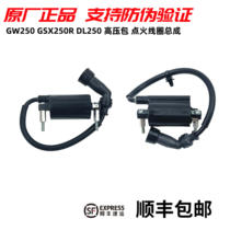 GW250 High Voltage package GSX250R ignition coil combination DL250 High Voltage package assembly GW250J-H original factory