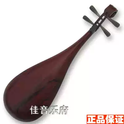 Pipa national musical instrument professional whole back preferred red acid branch white horn pipa complete accessories