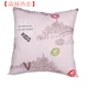 Gối vuông nhỏ có lõi dây kéo có thể tháo rời và có thể giặt gối đầu giường sofa đệm gối