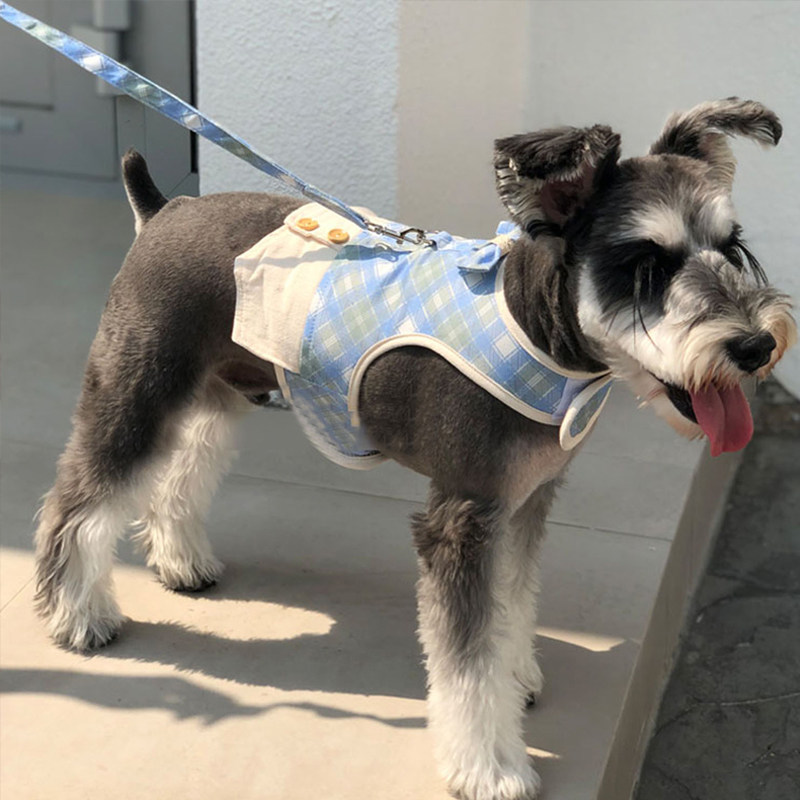 Ambaby loves cute dog chest holding baby bag traction rope cat teddy small and medium dog vest type traction clothing