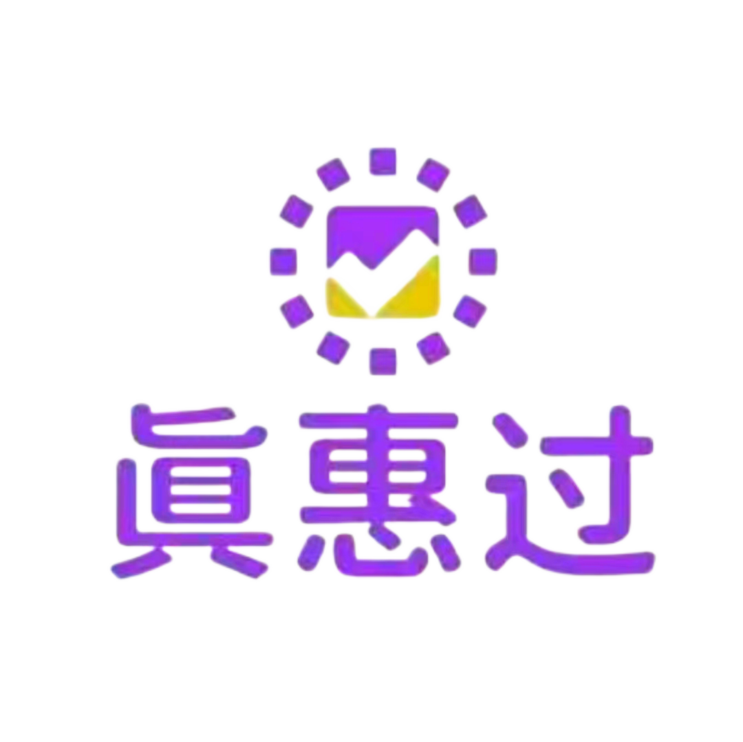 真惠过的LOGO