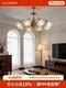 Flower Chandelier, American Retro Simple Living Room Lamp, Pastoral Light Luxury, High-End, Warm and Romantic Petal Hall Lighting