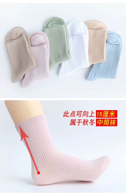 6 đôi vớ nữ mùa thu và mùa đông dày cotton ống vớ nữ vớ Hàn Quốc khử mùi thấm mồ hôi thể thao vớ cotton vớ chống trượt