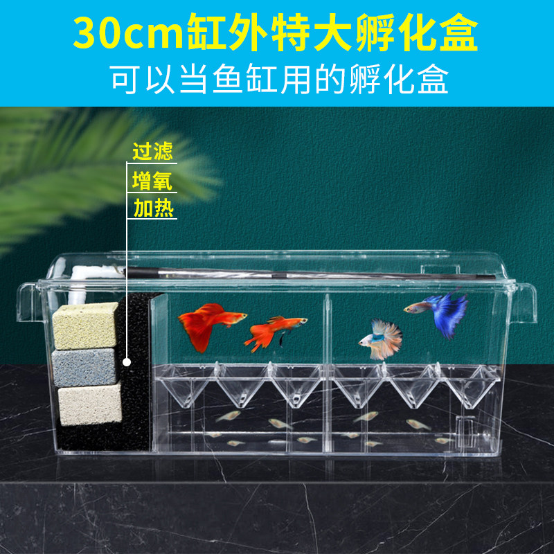 Guppies breeding box hatching artifact female fish spawning equipment Betta small fry breeding box double aquarium isolation box