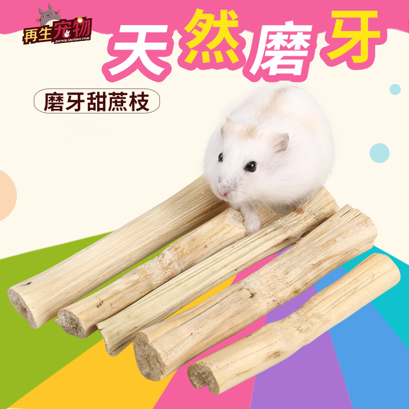 Bite wood sweet cane apple twigs Dutch pig small hamster dragon cat rabbit Rabbit Supplies Rabbit Grindroe Hamster Grinding Tooth Stick