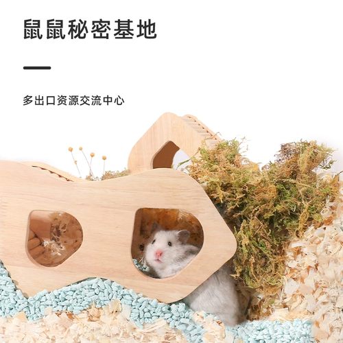 Гроф -флаковые ветви цветочных ветвей серии с молотком заглядывают в подвесные туннели.