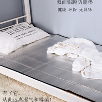 Moisture-proof and damp-proof student dormitory mattresses absorb moisture and dehumidify anti-mite single beds with household tatami dehumidification mats