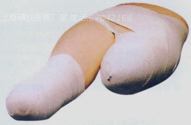 高级低位包扎模型  教学模型