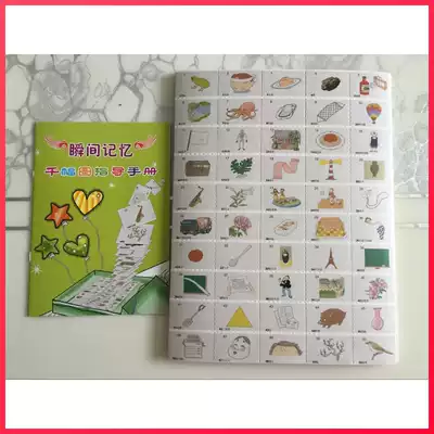 Leading the right brain development instant memory 1000 picture small card