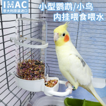 Original imported IMAC bird small parrot supplies automatic water feeder built-in feeder food box anti-scatter
