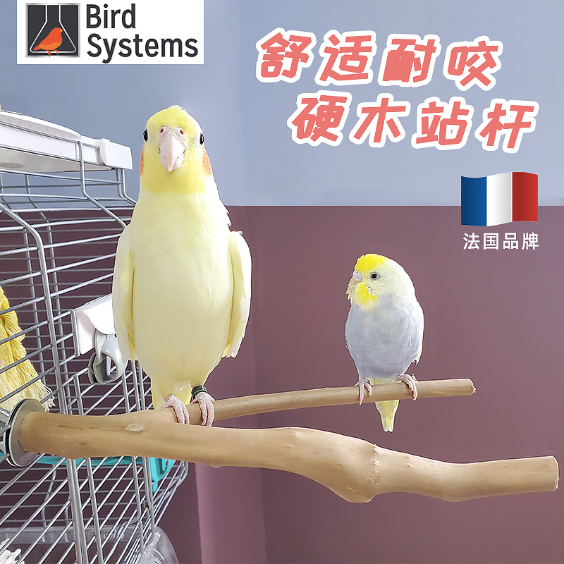 Wooden bifurcated pole Parrot supplies Bird peony tiger skin Xuanfeng bird cage accessories