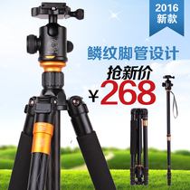 Lightweight era Q999 camera tripod professional SLR digital camera portable PTZ tripod