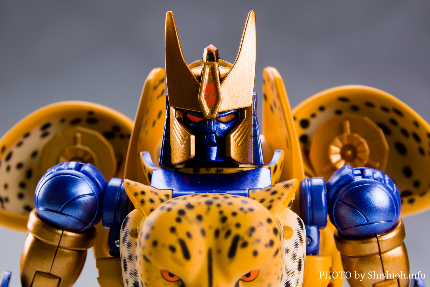 mp34 transformers