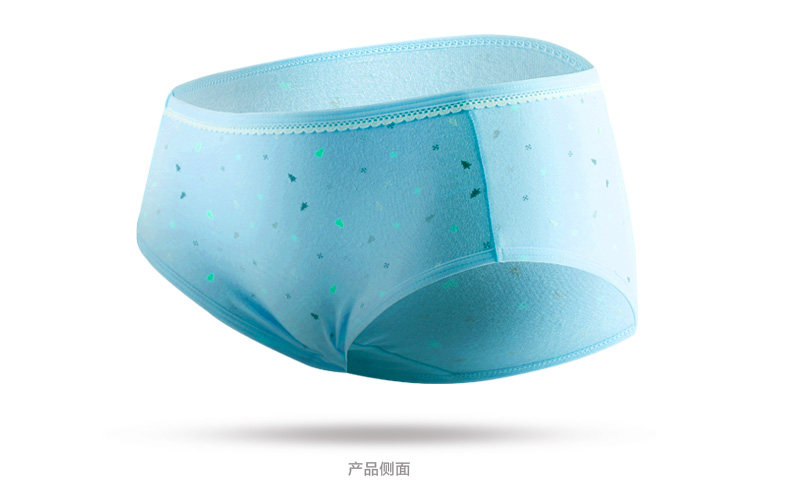 Slip jeunesse NF14X25047 en coton - Ref 666079 Image 16