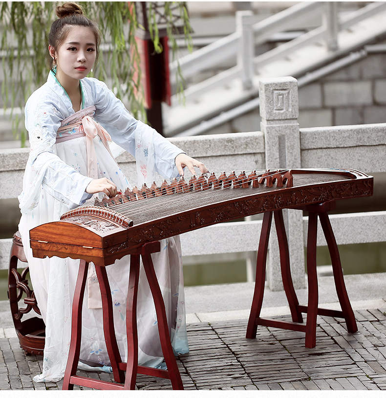 Эбонские раскопки цветовой раковины ласточки