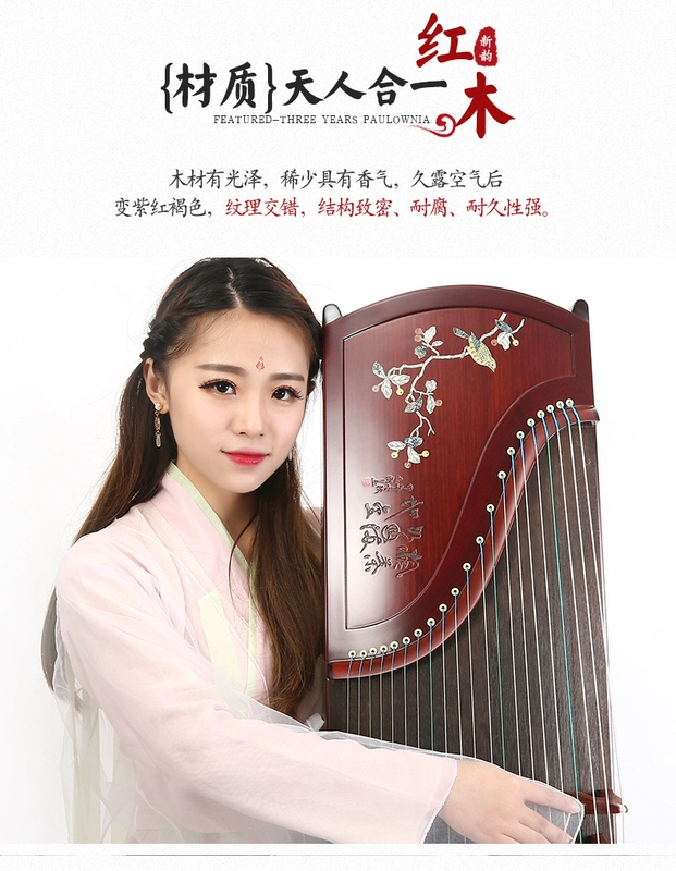 Vần mới guzheng người mới bắt đầu giới thiệu guzheng piano người lớn tự học kiểm tra chuyên môn dành riêng để chơi nhạc cụ dân tộc guzheng - Nhạc cụ dân tộc