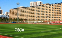 Football lawn Court lawn kindergarten school lawn artificial lawn landscape lawn leisure lawn