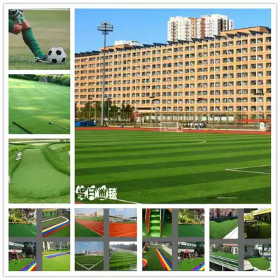 Artificial lawn landscape lawn leisure lawn football lawn Court lawn kindergarten school lawn
