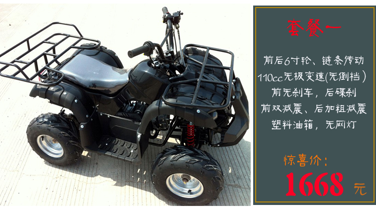 Dành cho người lớn đôi tất cả các địa hình ATV bò nhỏ ATV bốn bánh off-road xe máy scooter xăng điện