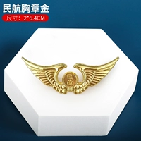 Гражданская авиационная сундука золото