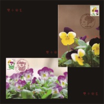 2024 Japanese Flower Series Pansy Japanese Extreme Film 2 Complete