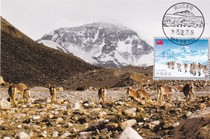 2020-11 Mount Everest Alpine Meadow Extreme Film Postmark of Alpine Meadow Scenery on the First Day of Sale
