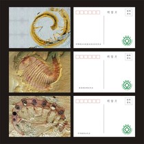 Chengjiang Fossil Site postcards set of 3 restoration pictures various fossil pictures