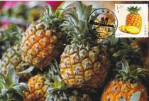 2018-18 Fruit pineapple extreme piece single piece postmarked by Xuwen Scenery on the first day of sale