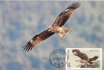T114 Raptor Kite Extreme Film Single Coin Sold Not First Day Fengtongzhai Date Stamped