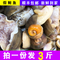 3 Jin Net red abalone wife feet fake abalone snail yellow snail flower snail Dongfeng snail spicy ready-to-eat seafood spicy abalone scones