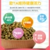 Trẻ em đang phát triển Tình yêu dành cho người lớn Thức ăn cho mèo 1,5kg Hương vị Gà Dinh dưỡng Lông mang Thức ăn cho mèo tự nhiên Thức ăn khô - Cat Staples