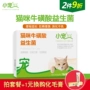 Mèo nhỏ thú cưng đặc biệt men vi sinh dạ dày mèo điều hòa kho báu tiêu hóa nôn mửa tiêu chảy tiêu chảy chán ăn kén ăn - Cat / Dog Health bổ sung sữa cho chó bầu 