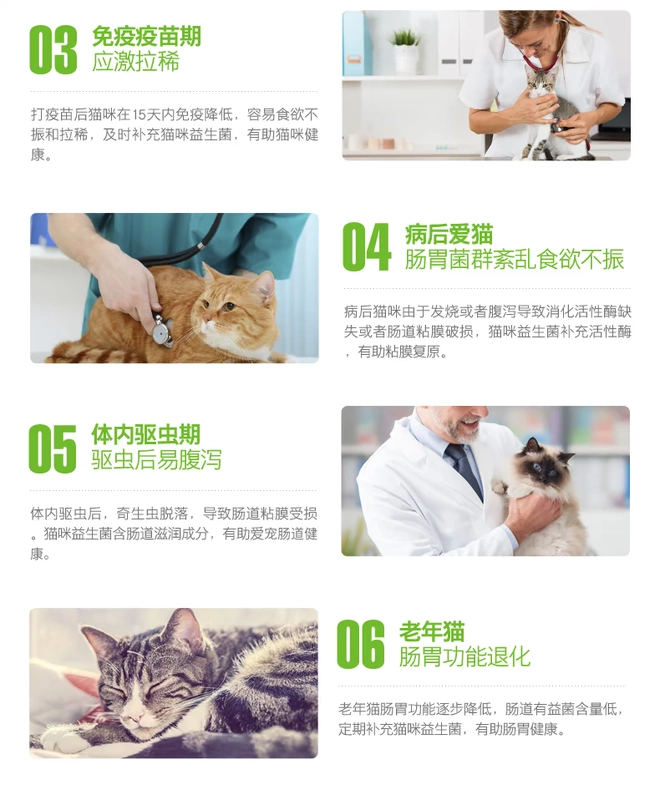 Mèo nhỏ thú cưng đặc biệt men vi sinh dạ dày mèo điều hòa kho báu tiêu hóa nôn mửa tiêu chảy tiêu chảy chán ăn kén ăn - Cat / Dog Health bổ sung