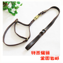 Korean Cow Leather Dog Ring Dog Rope Riot dog Item Circle Traction Rope Golden Maud Dog Chain Neckline
